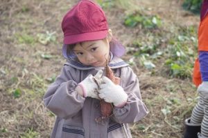 The Hoshinoko Kids Sweet　Potato Huntのサムネイル